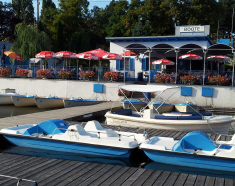 Seepferdchen - Betriebe Alte Donau